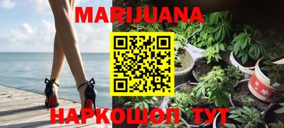 сатива Коммунар