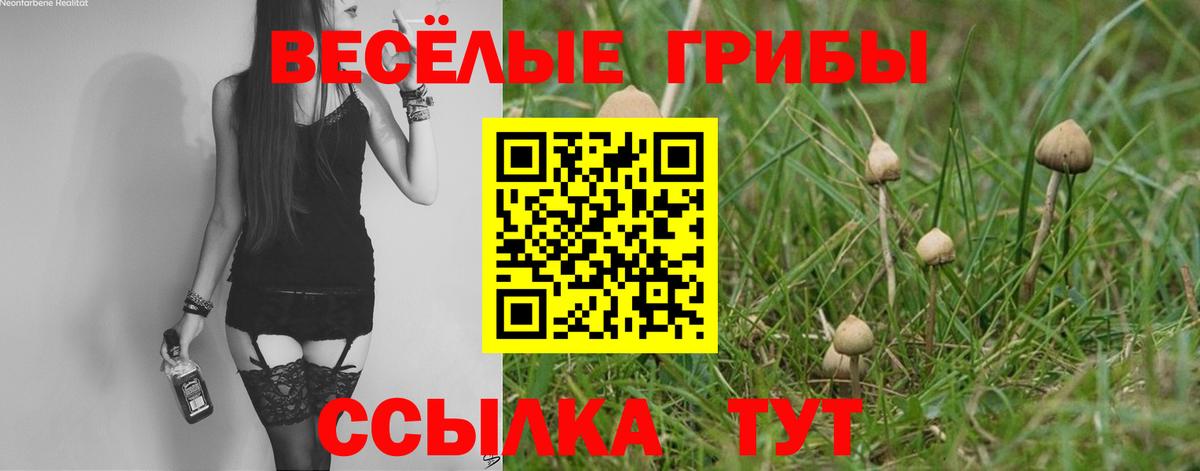 Петропавловск-Камчатский  Псилоцибиновые грибы мицелий  Вход с VPN 